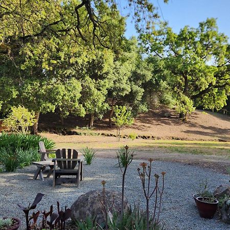 Amitabha Wine Country Cottage サンタローザ エクステリア 写真