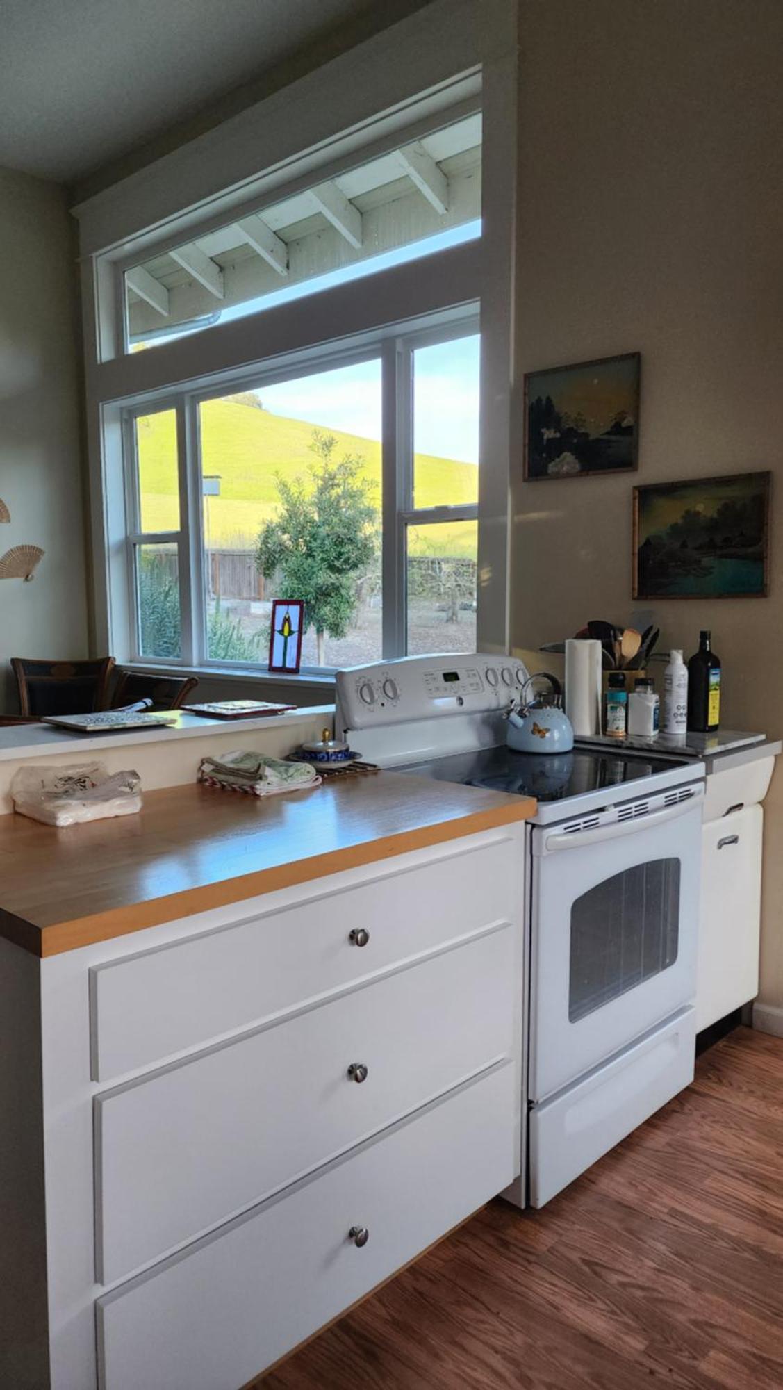 Amitabha Wine Country Cottage サンタローザ エクステリア 写真