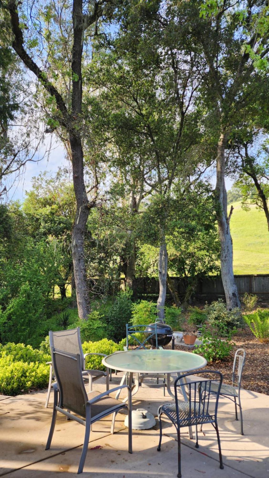 Amitabha Wine Country Cottage サンタローザ エクステリア 写真