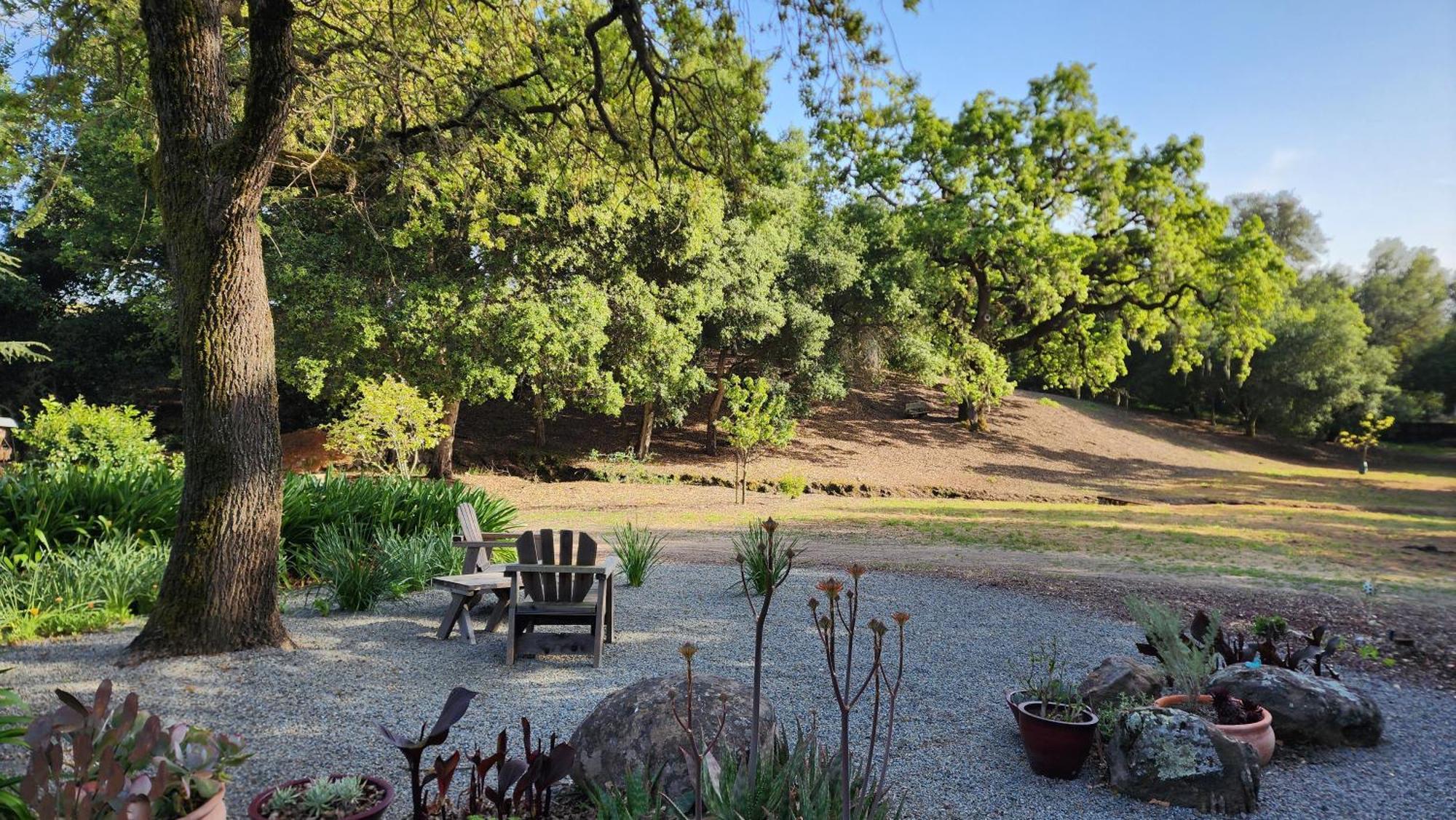 Amitabha Wine Country Cottage サンタローザ エクステリア 写真