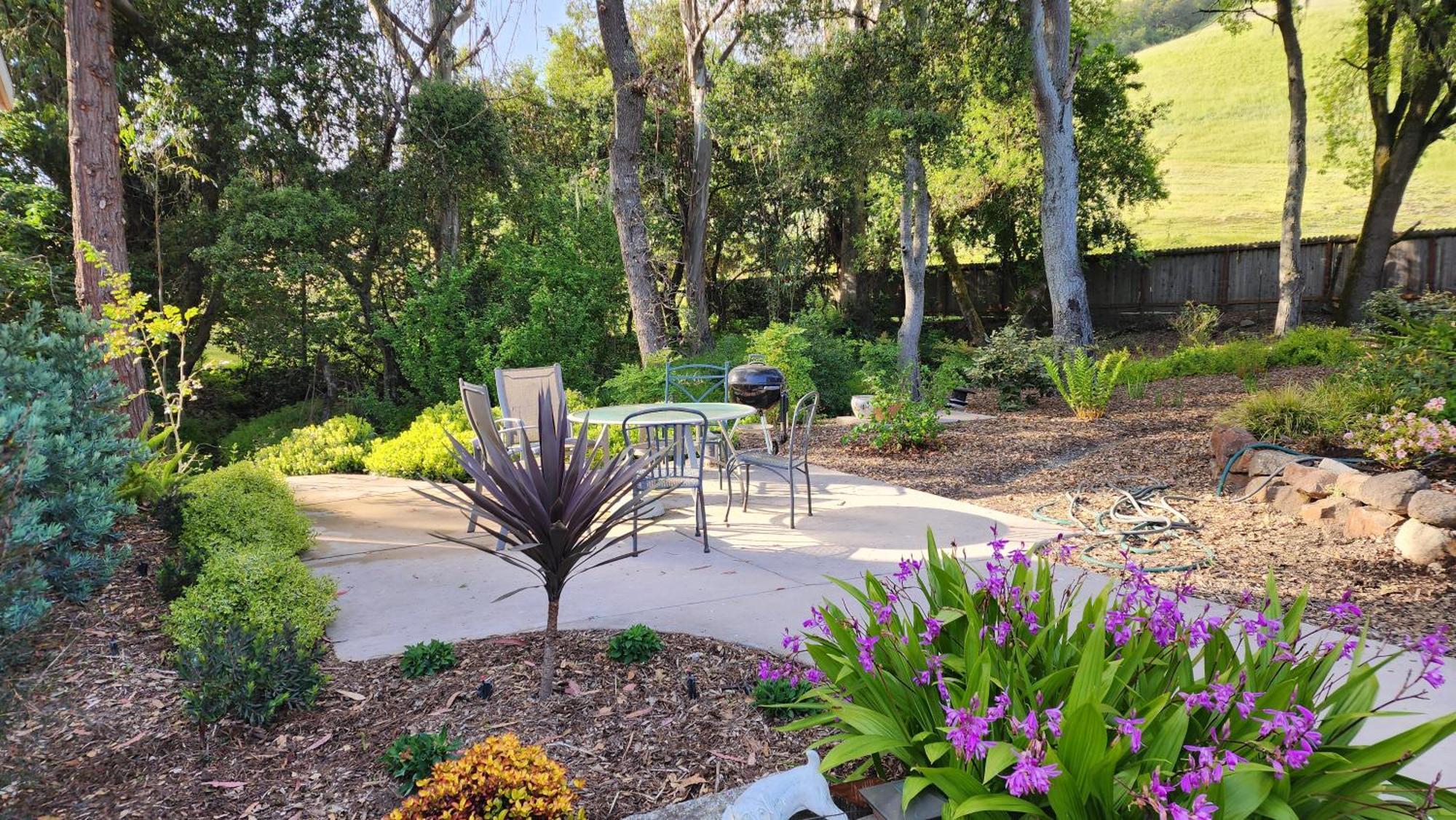 Amitabha Wine Country Cottage サンタローザ エクステリア 写真