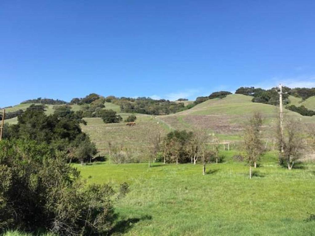 Amitabha Wine Country Cottage サンタローザ エクステリア 写真