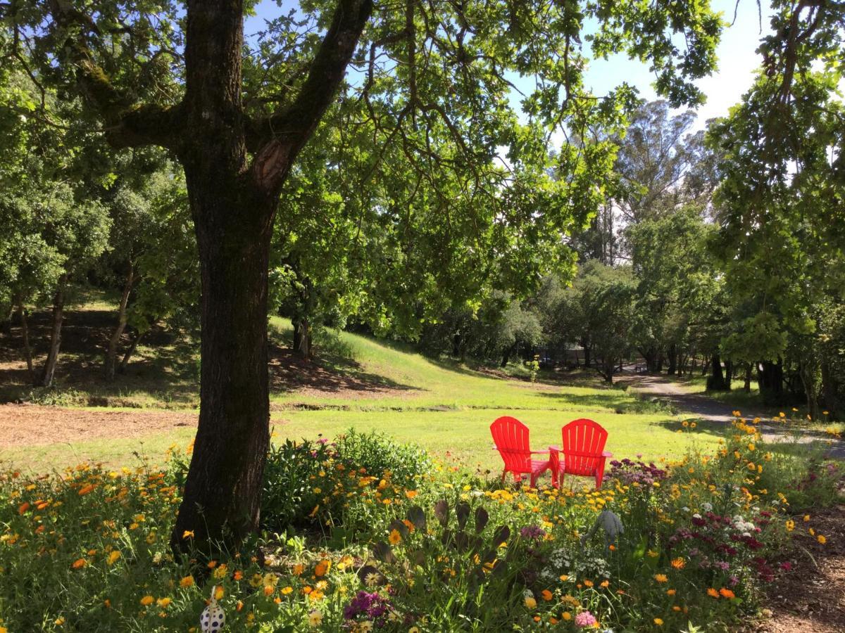 Amitabha Wine Country Cottage サンタローザ エクステリア 写真